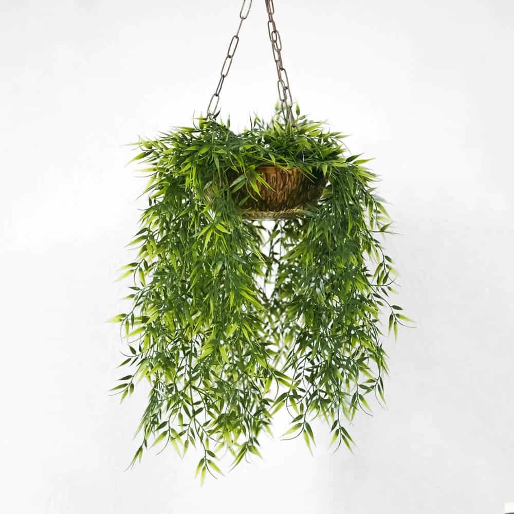pic22 free img pic22 free img